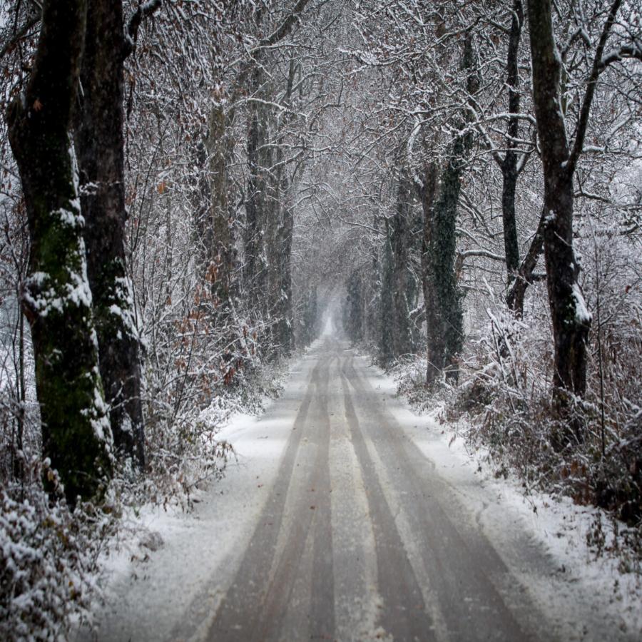 Πρόγνωση καιρού 15/1: Πυκνές χιονοπτώσεις και τσουχτερό κρύο – Δείτε αναλυτικά τον καιρό
