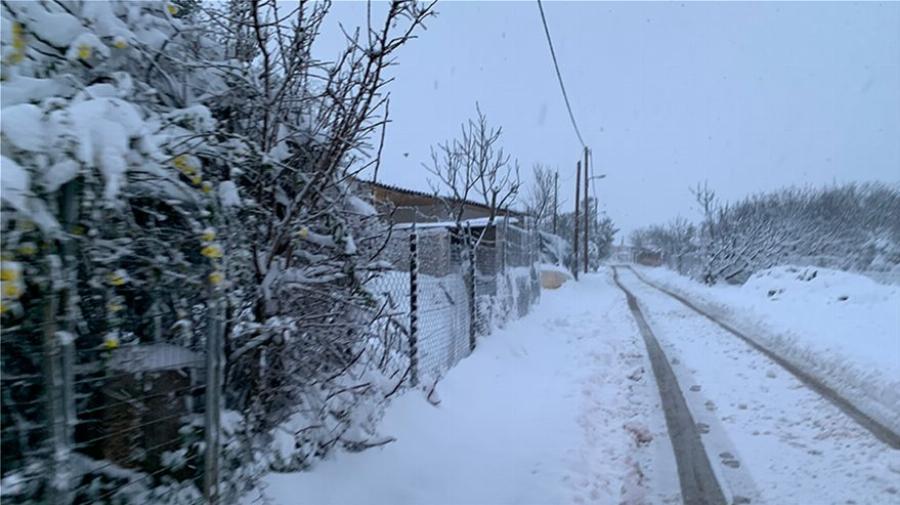 Χιόνια στην Αττική: Το έχει στρώσει για τα καλά στα βόρεια προάστια – Δείτε φωτογραφίες και βίντεο