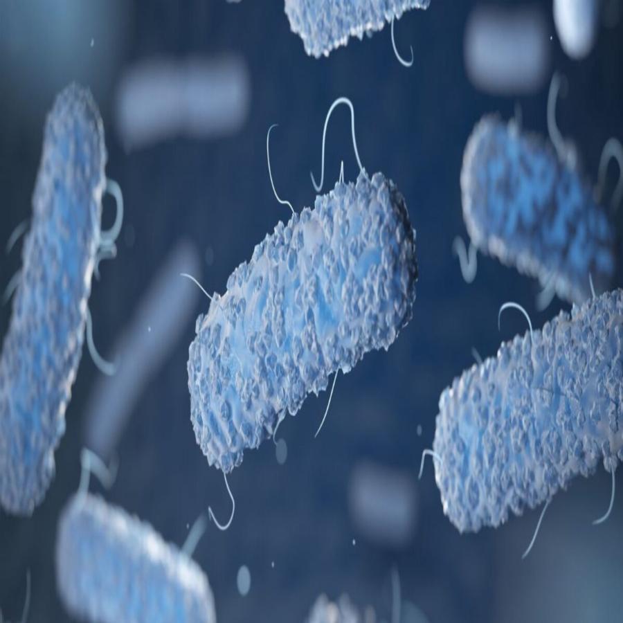 Αυστραλία: Παγκόσμιο σοκ με σαρκοφάγο βακτήριο που εξαπλώνεται με ταχείς ρυθμούς