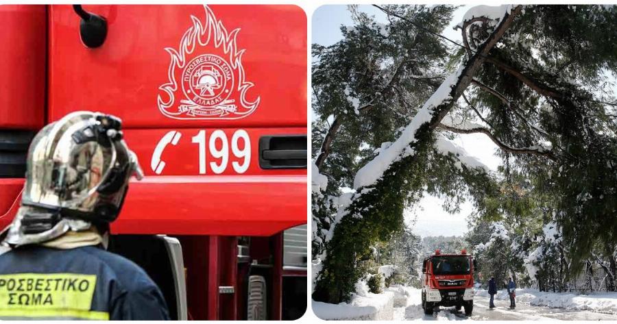 Εύβοια σοκ: Τέταρτος νεκρός από την κακοκαιρία «Μήδεια» – 71χρονος καταπλακώθηκε από δέντρο