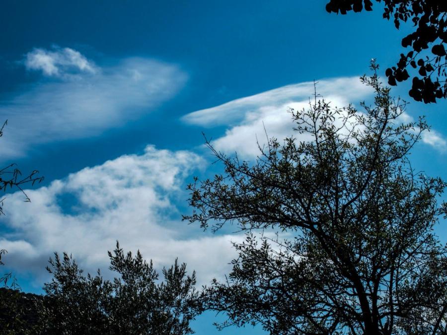 Καιρός στη χώρα: Παραμένουν οι τσουχτερές θερμοκρασίες – Σε ποια περιοχή το θερμόμετρο έδειξε – 11,4°C