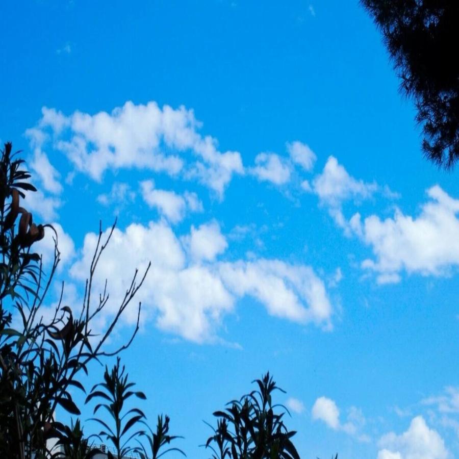 Πρόγνωση καιρού 26/2: Γενικά αίθριος ο καιρός στη χώρα σήμερα – Η θερμοκρασία θα αγγίξει τους 20°C