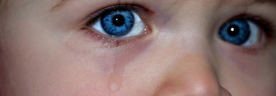 Χαλκίδα νηπιαγωγός: Κανονικά για μάθημα στην τάξη η νηπιαγωγός που έβγαλε το 4χρονο κοριτσάκι στο κρύο