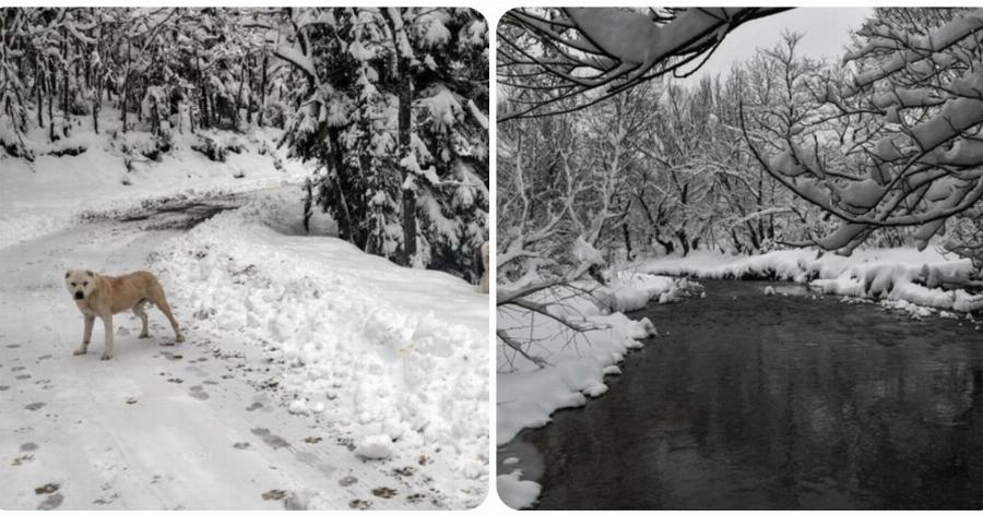 Λίμνη Πλαστήρα: Μαγευτικό το τοπίο από τα χιόνια της κακοκαιρίας «Μήδεια» – Εντυπωσιακές φωτογραφίες