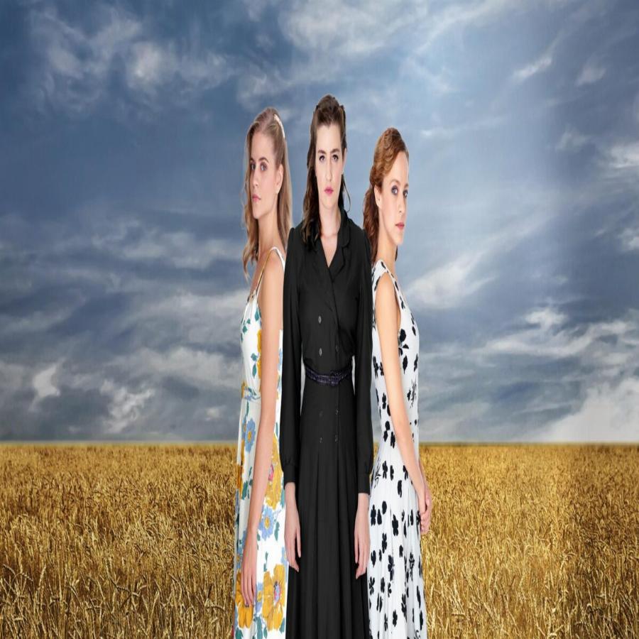 Άγριες Μέλισσες: Η κακοκαιρία «Μήδεια» έντυσε στα λευκά το Διαφάνι – Δείτε το εντυπωσιακό βίντεο