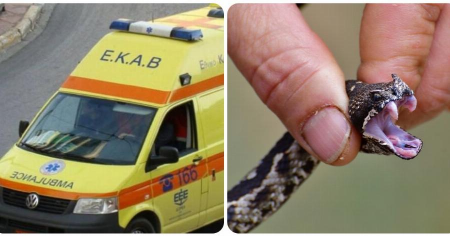 Πύργος Ηλείας: Άνδρας πήγε στο νοσοκομείο με δάγκωμα οχιάς και βρέθηκε θετικός στον κορονοϊό!