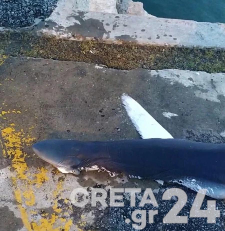 Ψυρρή: Ο Χαρδαλιάς ανακοίνωνε τα νέα μέτρα και στου Ψυρρή 150 άτομα έπιναν ποτά!