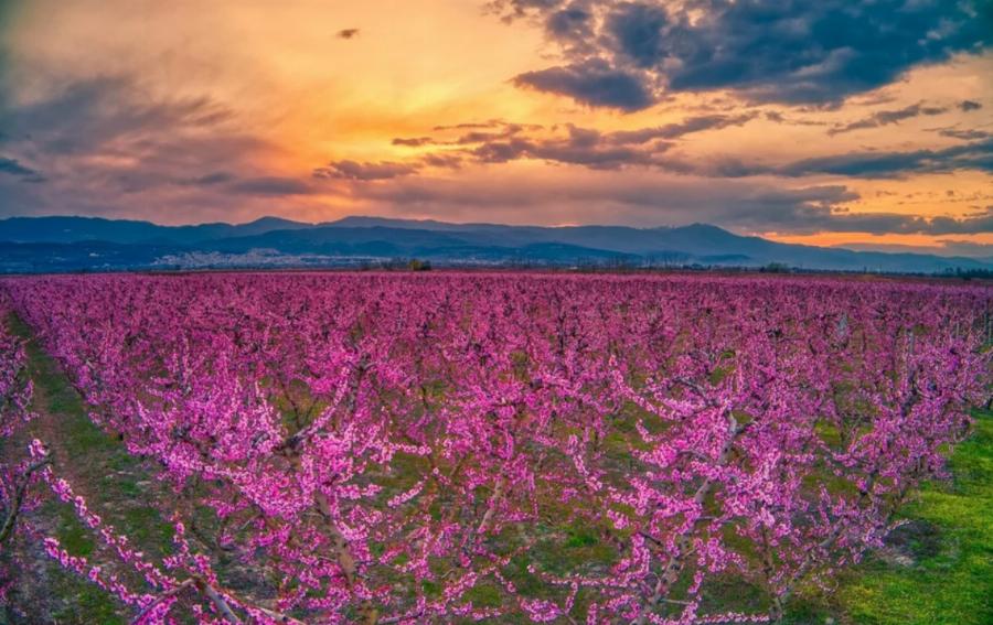 Καβούρι Αττικής: Υποχώρησε η θάλασσα λόγω άμπωτης – Είναι σημάδι ενδεχόμενου σεισμού;