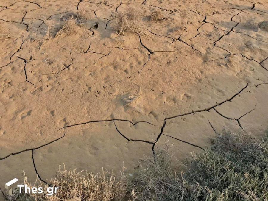 Καβούρι Αττικής: Υποχώρησε η θάλασσα λόγω άμπωτης – Είναι σημάδι ενδεχόμενου σεισμού;
