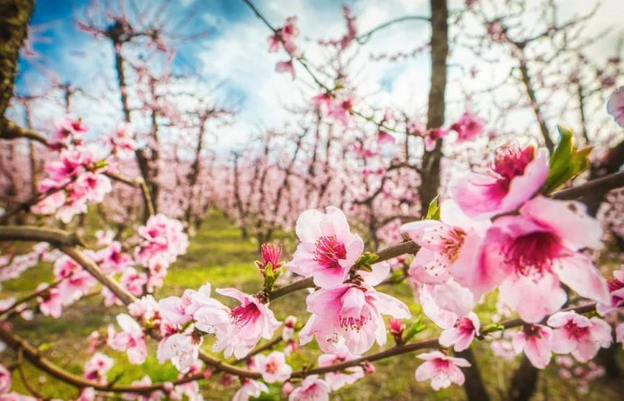 Ελασσόνα σεισμός: Μετά τον μεγάλο σεισμό 6 ρίχτερ οι κάτοικοι πέρασαν τη νύχτα έξω από τα σπίτια τους