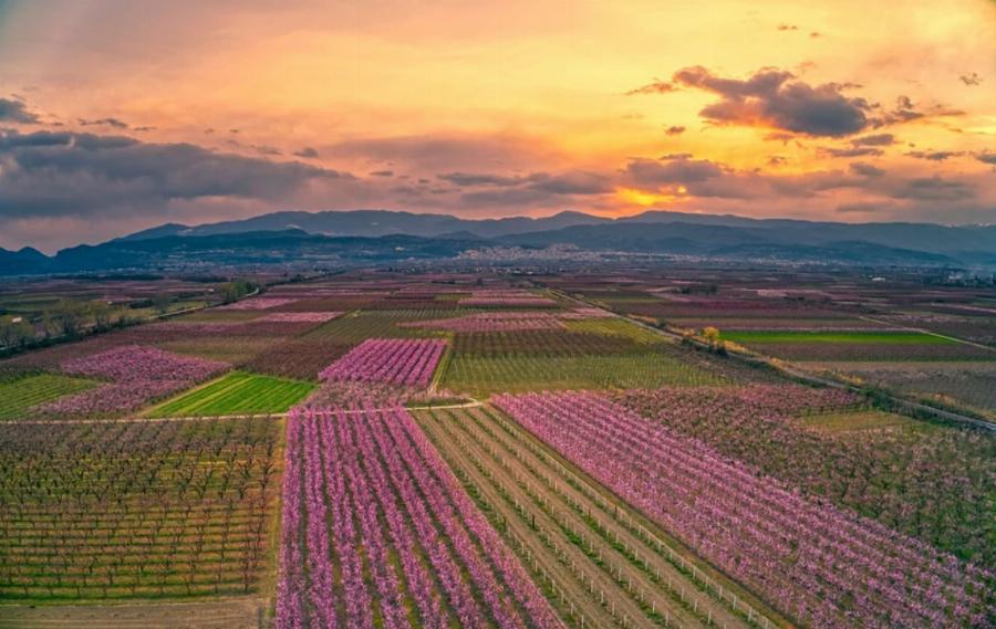Βαρβάκειος: Πλήθος κόσμου στην αγορά για τον μπακαλιάρο της 25ης Μαρτίου