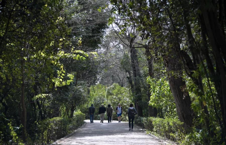 Θεσσαλονίκη σοκ: Τεράστιος συνωστισμός χθες βράδυ στη Μητροπόλεως – Χαμός στην παραλία το απόγευμα