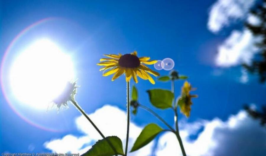 Πρόγνωση καιρού 12/3: Γενικά αίθριος ο καιρός στη χώρα σήμερα – Η θερμοκρασία θα ανέβει