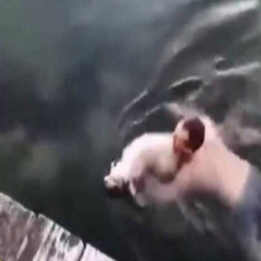 Θεσσαλονίκη: Νεαρός βούτηξε στον Θερμαϊκό για να σώσει τυφλό σκυλάκι από βέβαιο πνιγμό