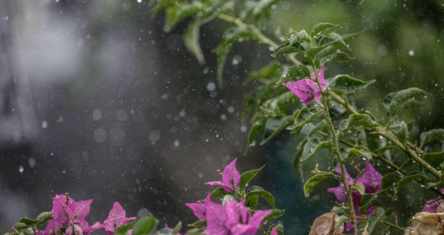 Πρόγνωση καιρού 24/3: Κακοκαιρία με βροχές, χιονόνερο και χιόνια στη χώρα σήμερα