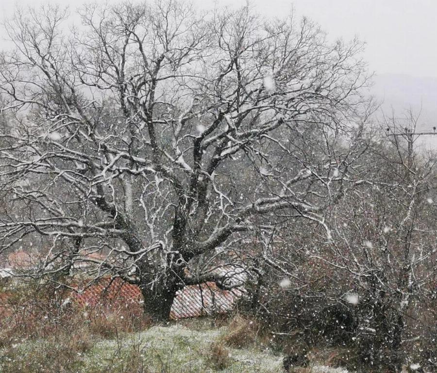 25η Μαρτίου καιρός: Κακοκαιρία την Εθνική Εορτή – Χιόνια ακόμα και στα βόρεια προάστια της Αθήνας