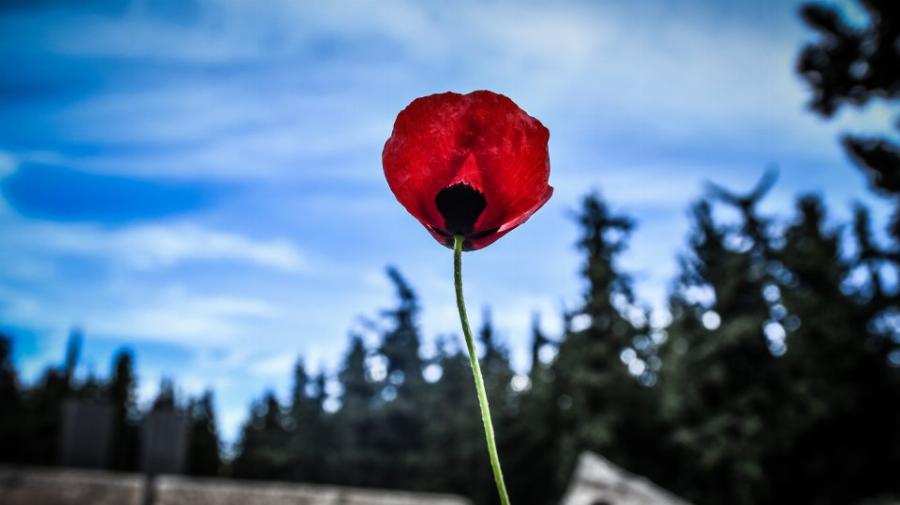 Πρωτομαγιά 2021: Αυτή την ημερομηνία μεταφέρεται ο φετινός εορτασμός της