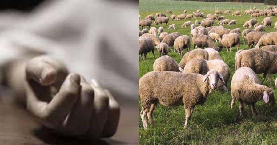 Άγιος Νικόλαος: 52χρονος βρήκε τον αδερφό του νεκρό στην αγροτική περιοχή Ζένια