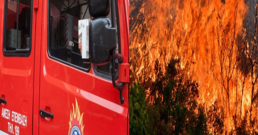 Άνοιξη Αττικής: Φωτιά σε χαμηλή βλάστηση στην περιοχή – Δεν κινδυνεύουν κατοικίες