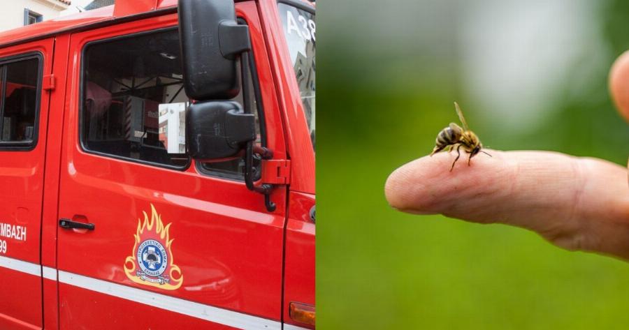 Άρτα: 75χρονος έπαθε ανακοπή καρδιάς από τσίμπημα μέλισσας – Τον έσωσαν τρεις πυροσβέστες
