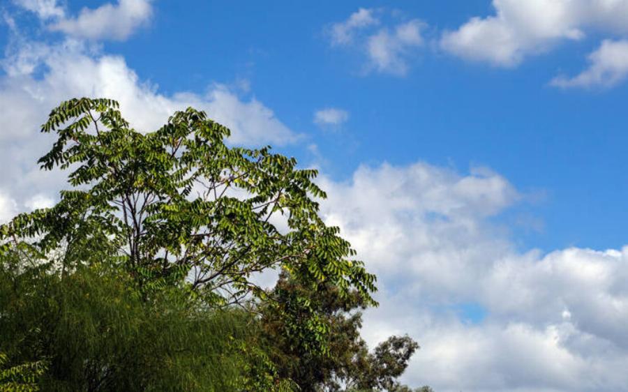 Πρόγνωση καιρού 21/4: Γενικά αίθριος ο καιρός στη χώρα σήμερα – Τοπικές βροχές στα δυτικά και τα βόρεια