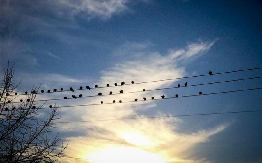 Πρόγνωση καιρού 16/4: Νεφώσεις με τοπικές βροχές σήμερα στη χώρα – Πού θα χιονίσει