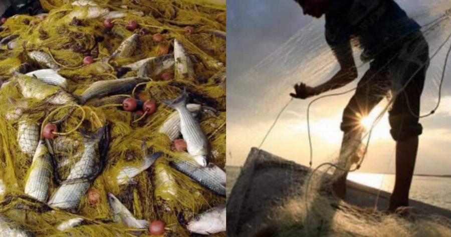 Πήλιο: Ψαράς έπιασε τεράστιο γαλέο 140 κιλών – Φωτογραφία με την απίστευτη ψαριά