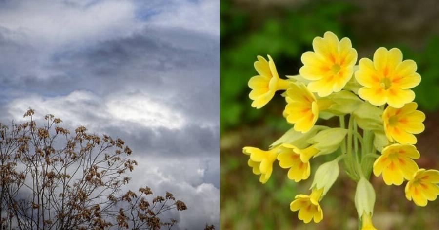 Πρόγνωση καιρού 14/4: Γενικά αίθριος ο καιρός στη χώρα – Πού θα βρέξει και θα έχει καταιγίδες