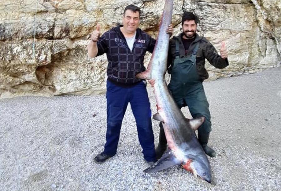 Πήλιο: Ψαράς έπιασε τεράστιο γαλέο 140 κιλών – Φωτογραφία με την απίστευτη ψαριά