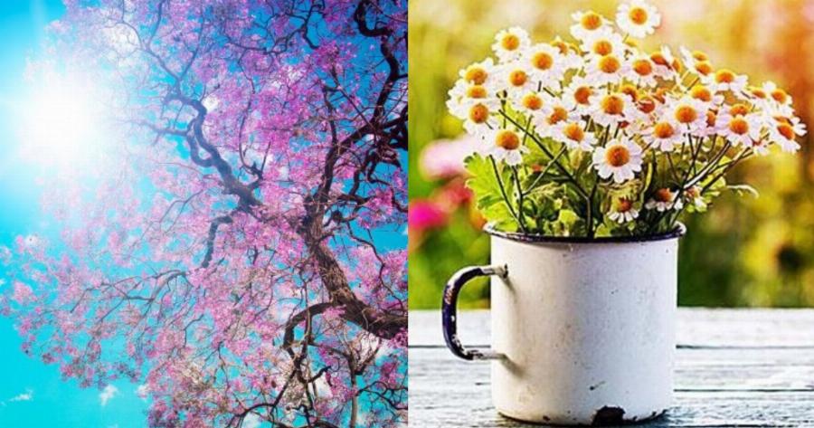 Σαββατοκύριακο καιρός: Η Άνοιξη επιστρέφει – Υψηλές θερμοκρασίες έως και 25 βαθμούς Κελσίου