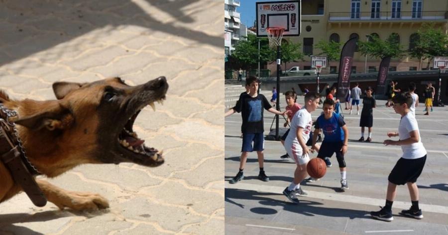 Σοκ στην Κόρινθο: Σκύλος επιτέθηκε σε 8χρονο αγοράκι και τον δάγκωσε στο πρόσωπο