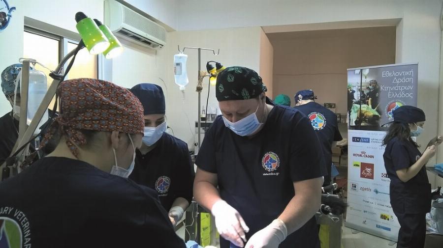 Ιωάννης Μπατσάς: Ο Έλληνας γιατρός που χαρίζει καθημερινά τη ζωή του στα αδέσποτα