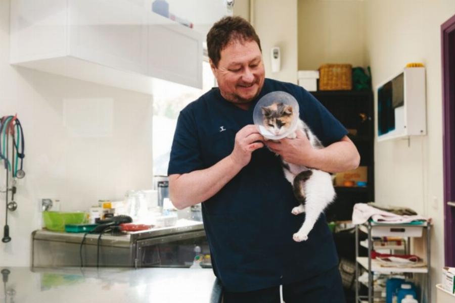 Ιωάννης Μπατσάς: Ο Έλληνας γιατρός που χαρίζει καθημερινά τη ζωή του στα αδέσποτα