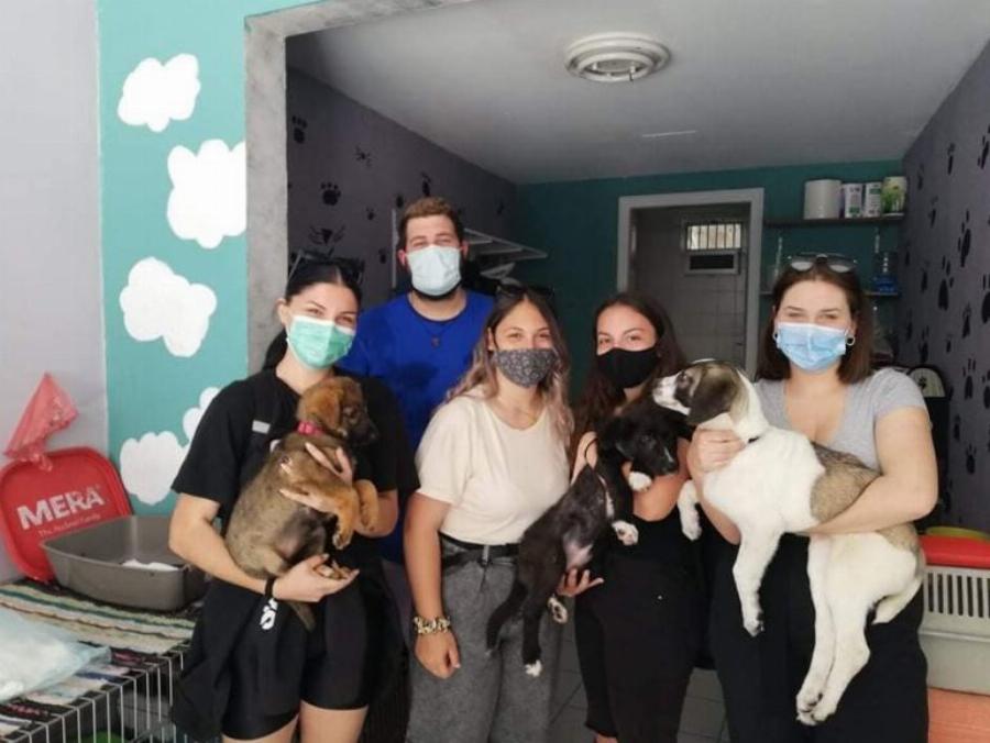 Μαθητές μουσικού Λυκείου στην Ξάνθη έδωσαν τα χρημάτα της εκδρομής τους για τη σωτηρία των αδέσποτων