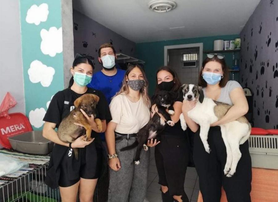 Μαθητές μουσικού Λυκείου στην Ξάνθη έδωσαν τα χρημάτα της εκδρομής τους για τη σωτηρία των αδέσποτων