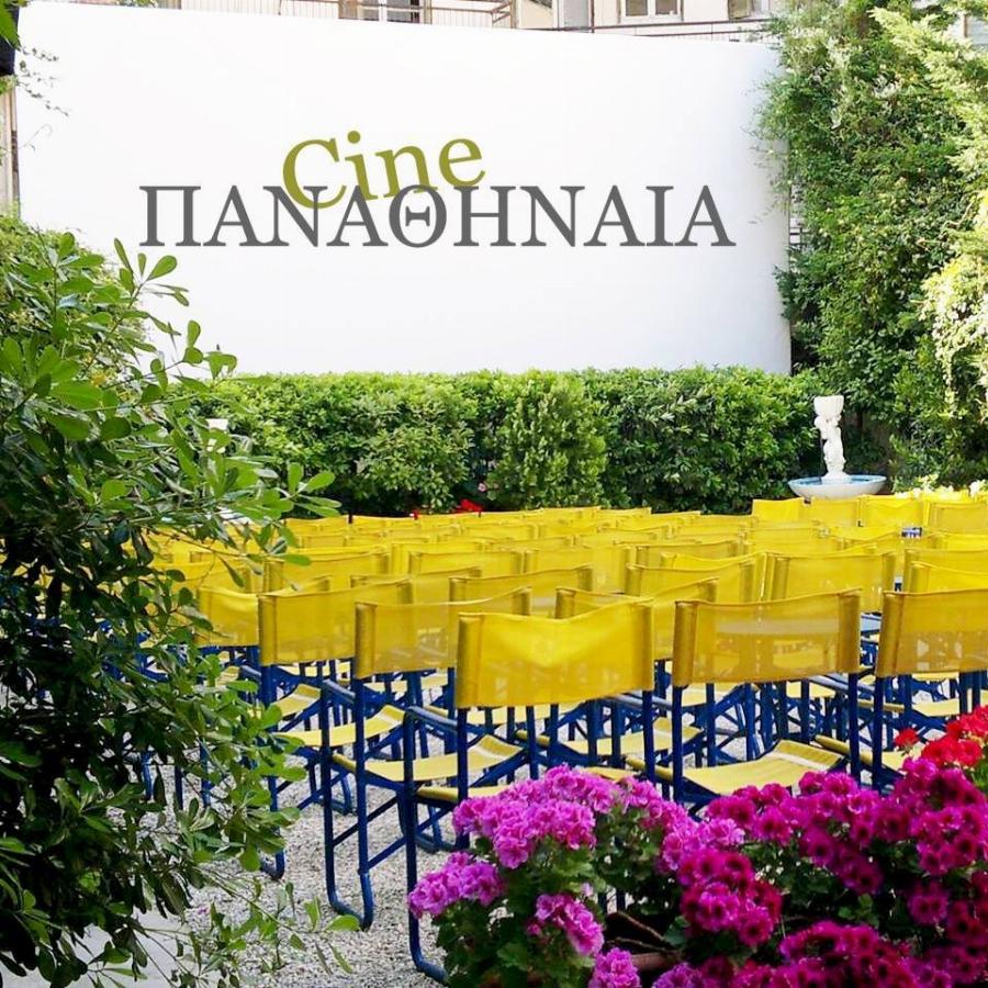 Πράξη αγάπης από τον Κινηματογράφο Παναθήναια, που φιλοξενεί αδέσποτα σκυλάκια μέχρι να βρουν σπίτι