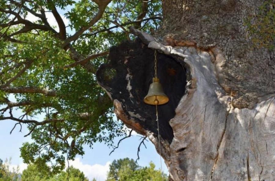 Το εκκλησάκι στην Κόνιτσα που είναι κρυμμένο μέσα σε καμένη βελανιδιά