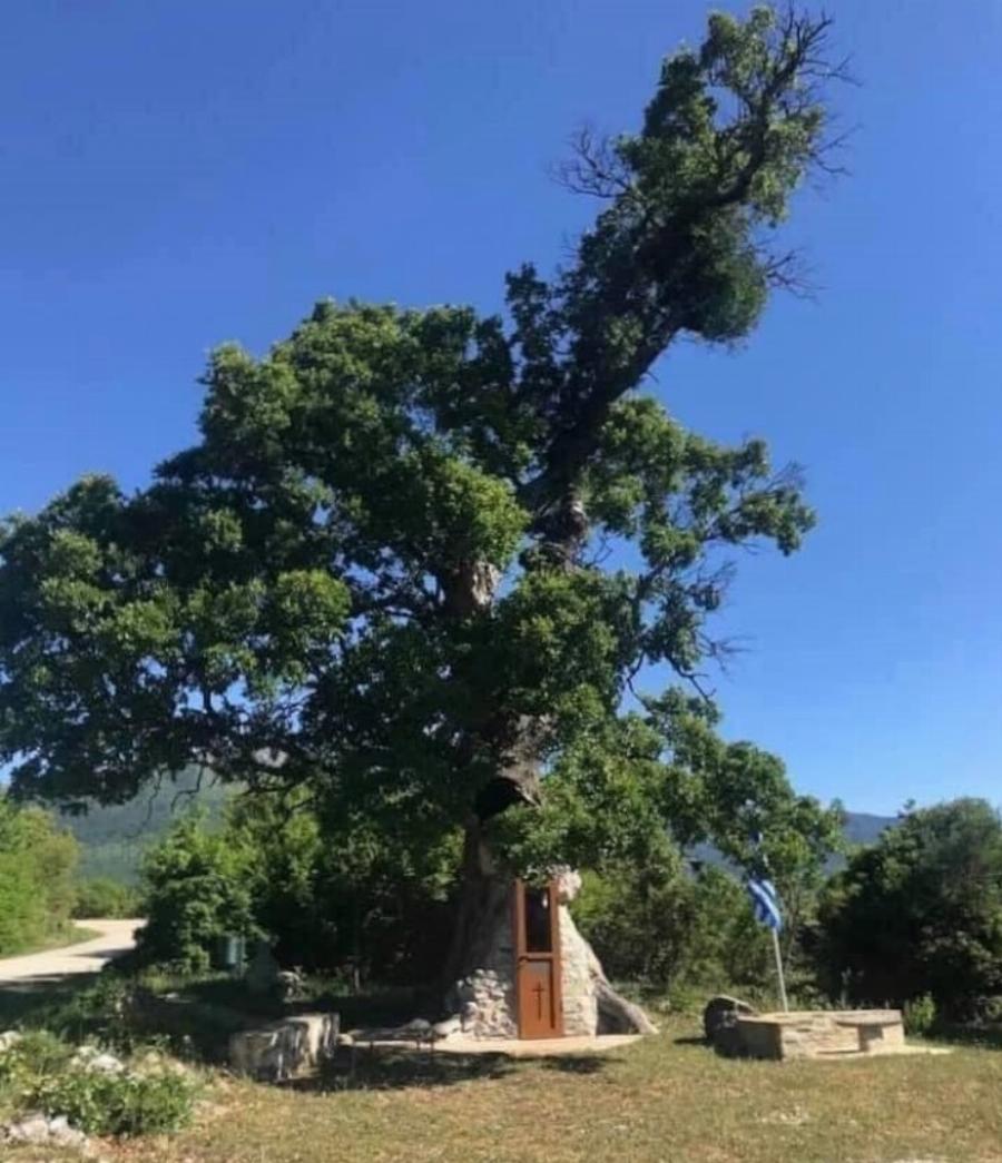 Το εκκλησάκι στην Κόνιτσα που είναι κρυμμένο μέσα σε καμένη βελανιδιά