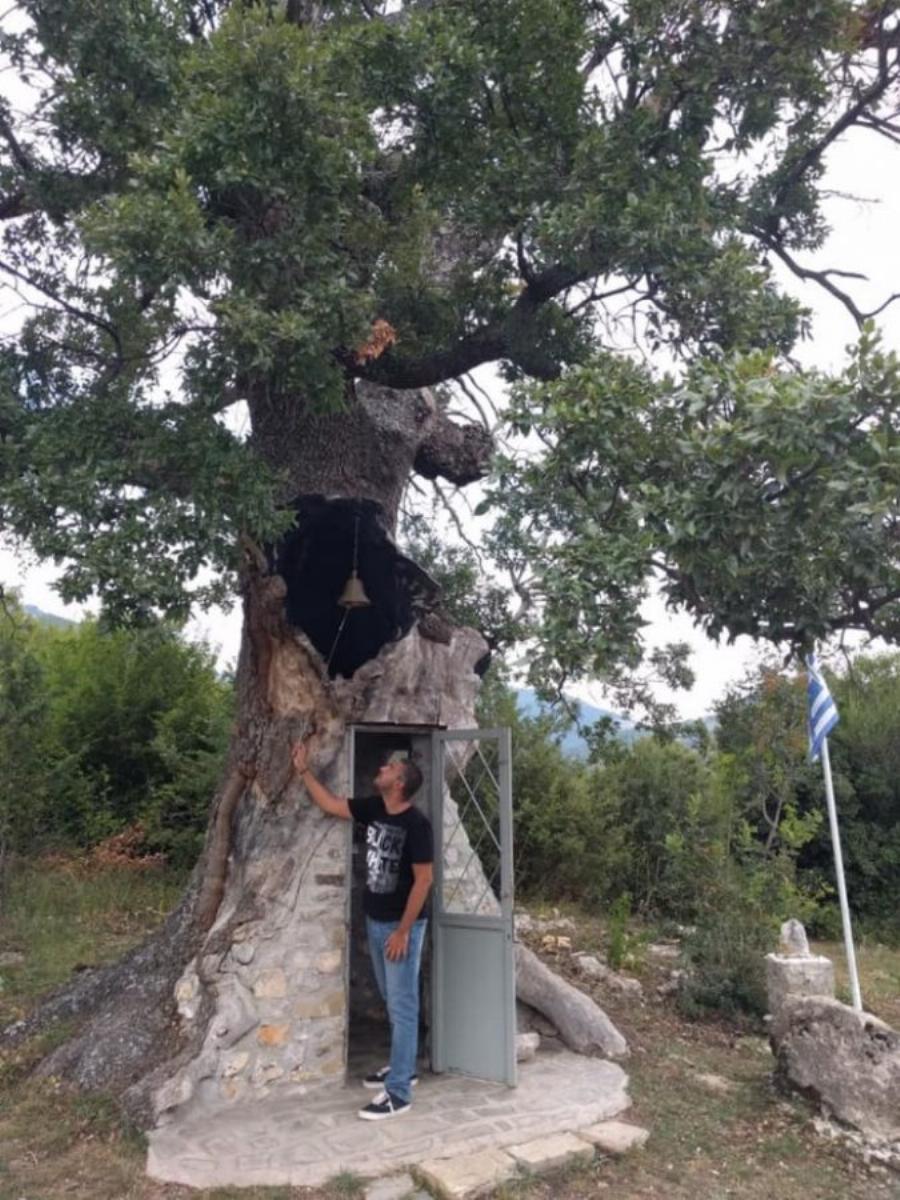 Το εκκλησάκι στην Κόνιτσα που είναι κρυμμένο μέσα σε καμένη βελανιδιά