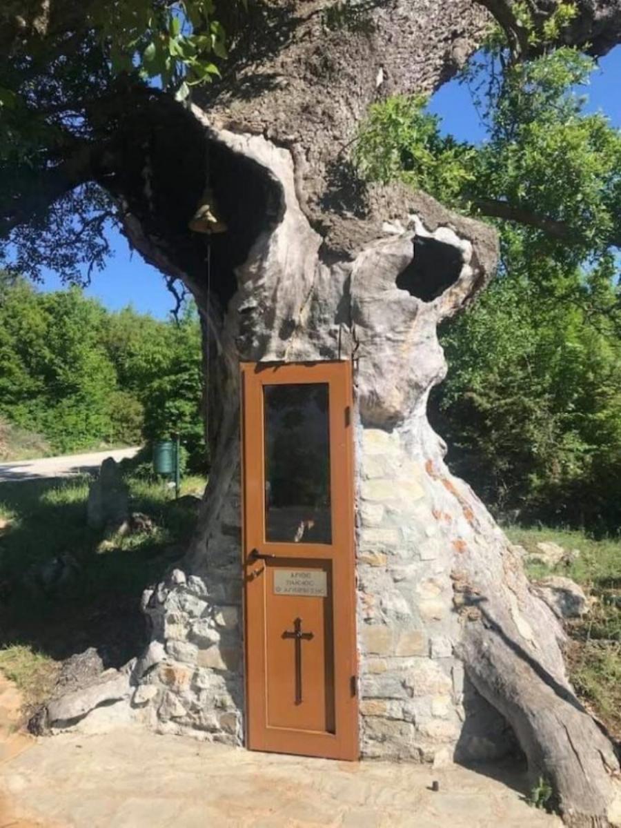 Το εκκλησάκι στην Κόνιτσα που είναι κρυμμένο μέσα σε καμένη βελανιδιά