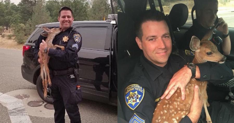 Η υπέροχη στιγμή που μικρό ελάφι φιλάει αστυνομικό που το έσωσε από τις φωτιές