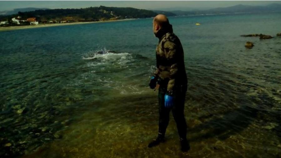 Χρήστος Λάμπρου: Ο ήρωας από τη Χαλκιδική που έσωσε μια μικρή  Φώκια Monachus από βέβαιο θάνατο
