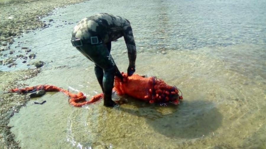 Χρήστος Λάμπρου: Ο ήρωας από τη Χαλκιδική που έσωσε μια μικρή  Φώκια Monachus από βέβαιο θάνατο