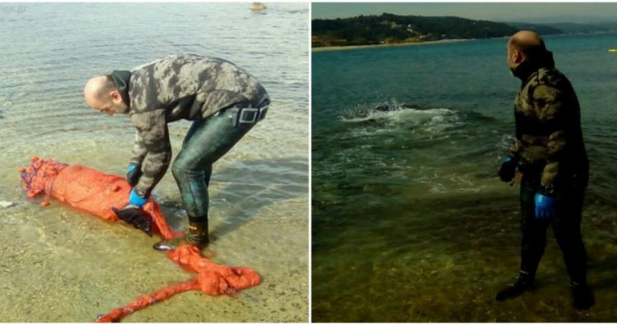 Χρήστος Λάμπρου: Ο ήρωας από τη Χαλκιδική που έσωσε μια μικρή  Φώκια Monachus από βέβαιο θάνατο