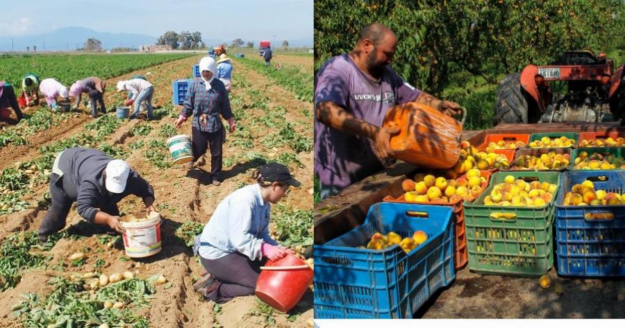 Τα ελληνόπουλα να πάνε για δουλειά στα χωράφια – Ντροπή είναι τα επιδόματα και όχι η δουλειά