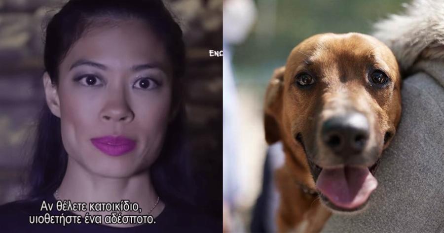 Η Βανέσσα Μέι κάνει εκστρατεία για τα αδέσποτα της Ελλάδας και συγκινεί