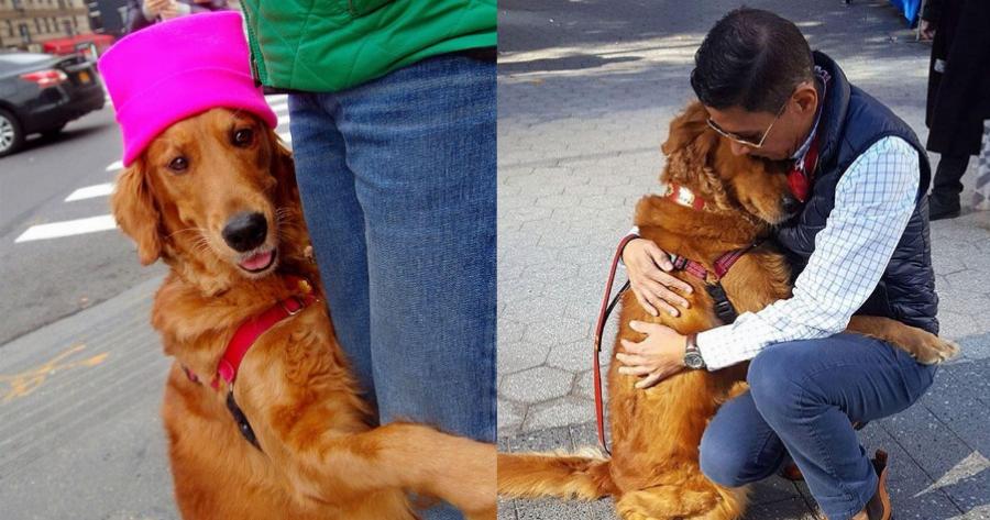 Αγκαλίτσας σκύλος δίνει αγάπη στους περαστικούς με αγκαλιές και τρελαίνει το διαδίκτυο