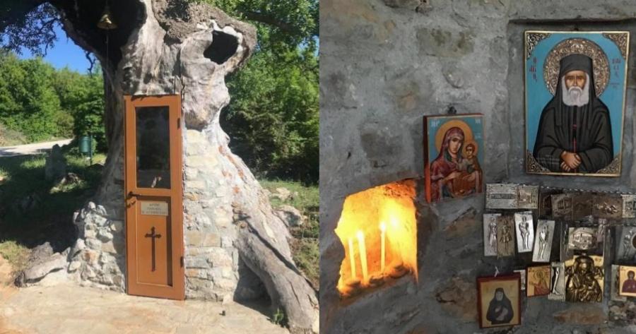 Το εκκλησάκι στην Κόνιτσα που είναι κρυμμένο μέσα σε καμένη βελανιδιά