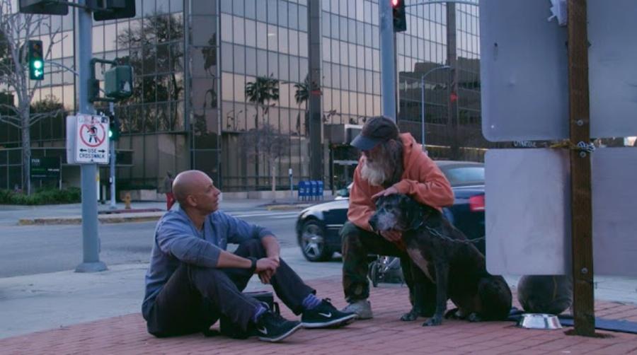 Κτηνίατρος εξετάζει εντελώς δωρεάν αδέσποτα ζώα και συγκινεί το διαδίκτυο