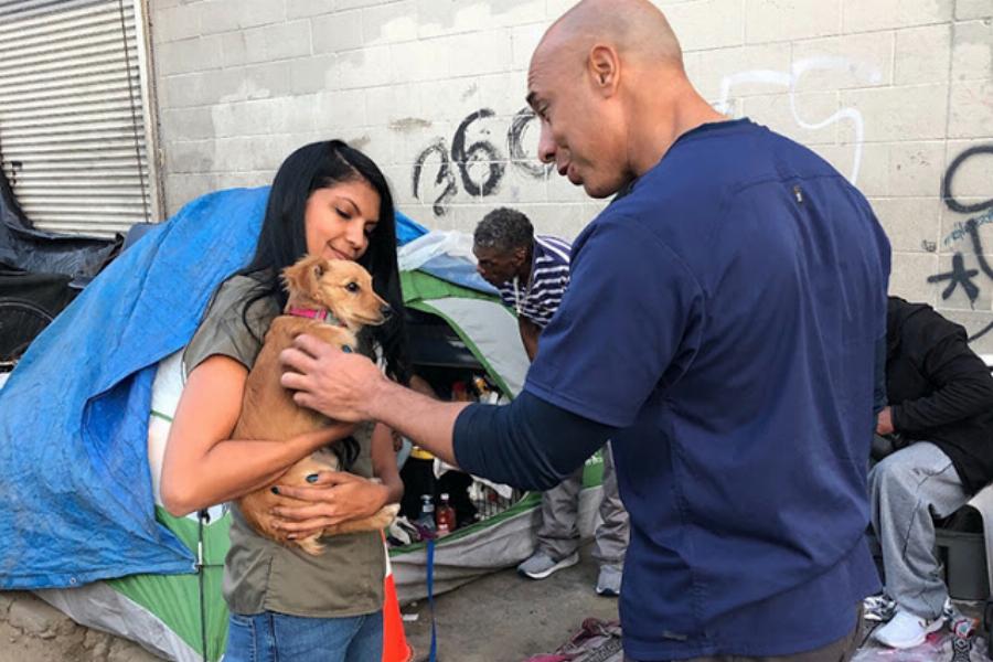 Κτηνίατρος εξετάζει εντελώς δωρεάν αδέσποτα ζώα και συγκινεί το διαδίκτυο